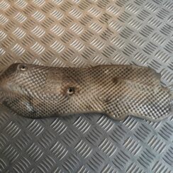 Karstuma aizsargs (mazs) priekš MERCEDES BENZ ML320 2005 BLACK