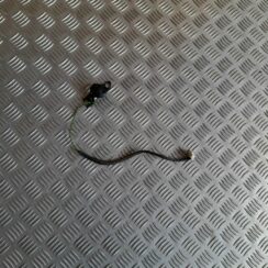 Durvju skaļrunis, augšā priekš BMW 320D E46 2004 TOURING