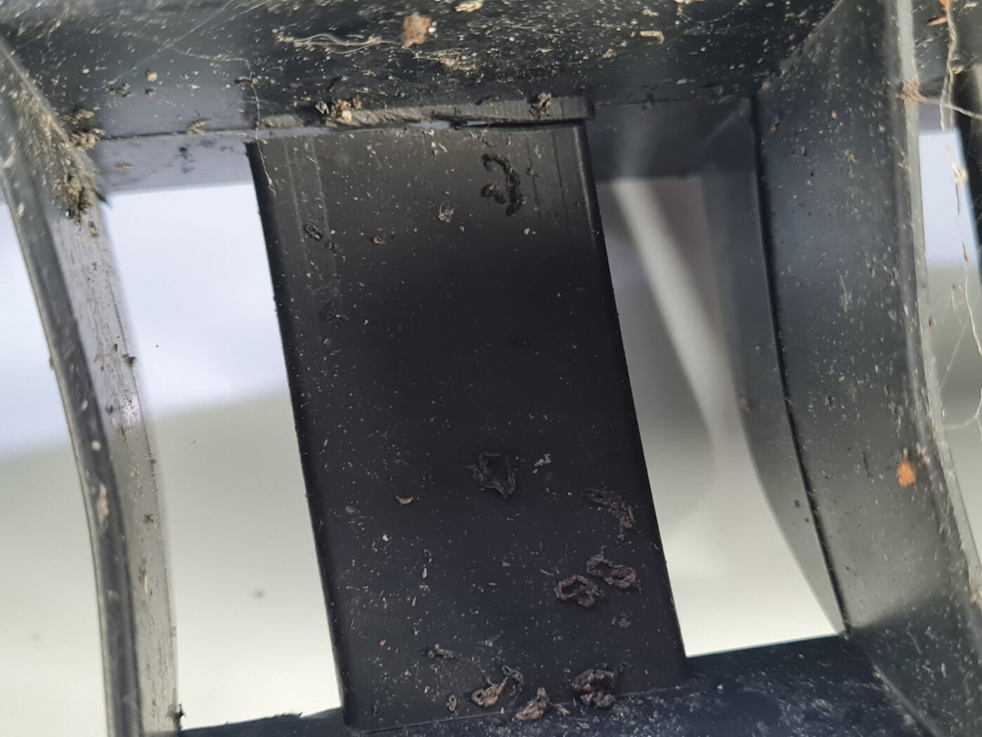 Priekšēja bufera kronšteins priekš PEUGEOT 407 2004 11 Priekšēja bufera kronšteins priekš PEUGEOT 407 2004