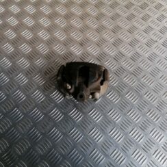 Aizmugurējais kreisais suports priekš VOLVO XC70 2007