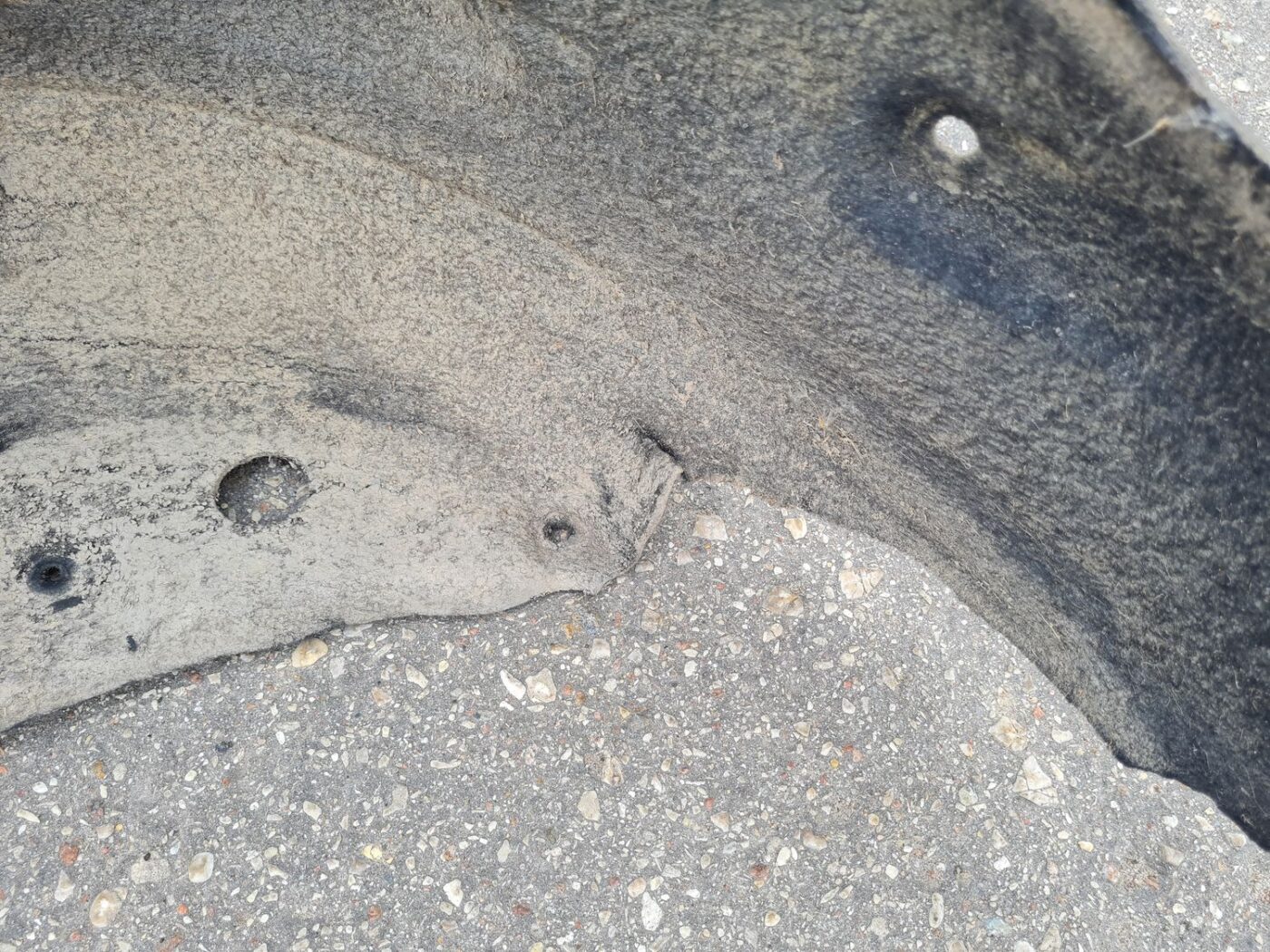 Aizmugurējais kreisais paspārns priekš TOYOTA COROLLA VERSO 2005 4 Aizmugurējais kreisais paspārns priekš TOYOTA COROLLA VERSO 2005