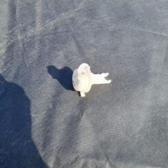 Vējstikla mazgātāja līmeņa sensors priekš JEEP GRAND CHEROKEE 2004