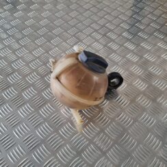 Dzesēšanas šķidruma tvertne priekš ŠKODA FABIA 2003