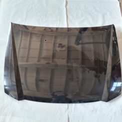 Pārsegs priekš FIAT STILO 2003