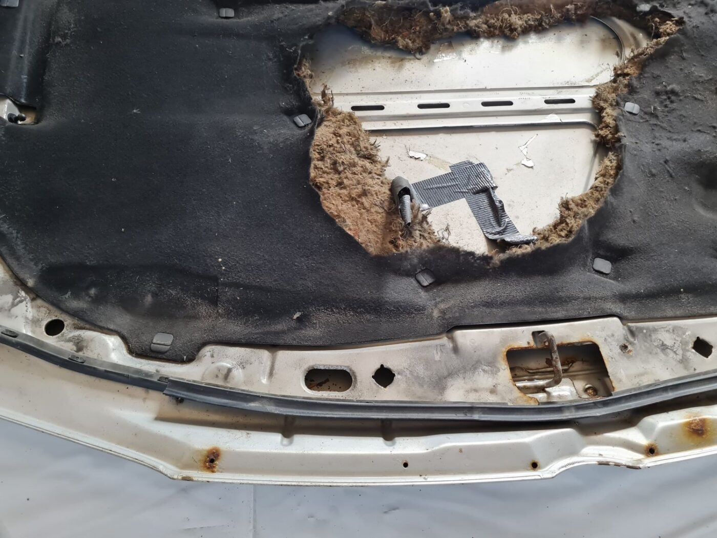 Pārsegs priekš VW GOLF IV 1999 6 Pārsegs priekš VW GOLF IV 1999