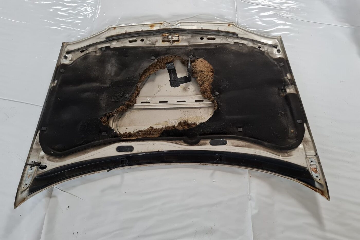 Pārsegs priekš VW GOLF IV 1999 19 Pārsegs priekš VW GOLF IV 1999