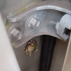 Durvju eņģe priekš HONDA CR-V 2006